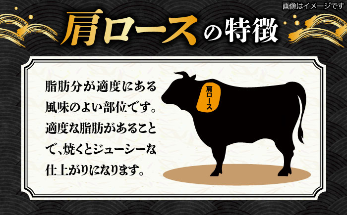 飛騨牛 焼肉用 ロース / 肩ロース 500g
