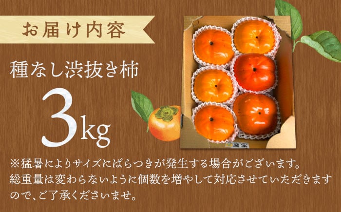 【11月〜12月上旬発送】種なし柿 太天・渋抜き柿　3kg【小林農園】 [HAX002] 柿 果物 フルーツ 佐賀県 江北町