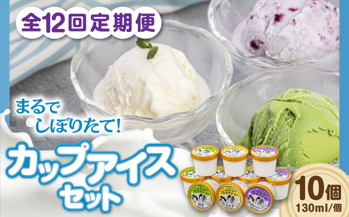 カップアイスセット(130ml×10個) アイス アイスクリーム ジェラート ミルク 抹茶 ブルーベリー セット