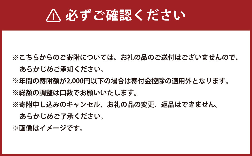 【返礼品なし】岡山県奈義町で行う『少花粉スギ・ヒノキ』植樹を応援してくださる皆さまからの温かいご支援をよろしくお願いいたします。