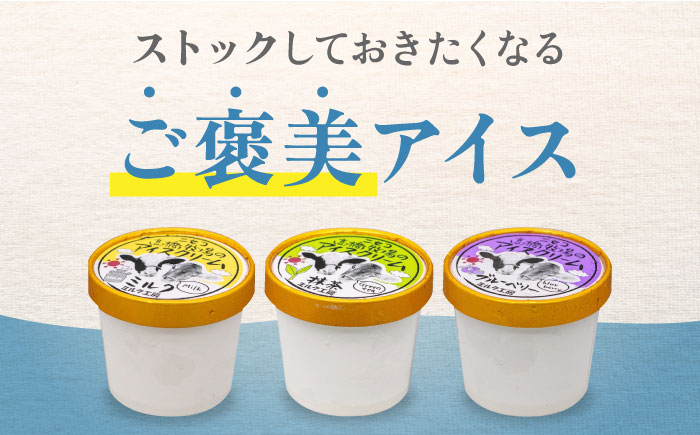 カップアイスセット(130ml×10個) アイス アイスクリーム ジェラート ミルク 抹茶 ブルーベリー セット