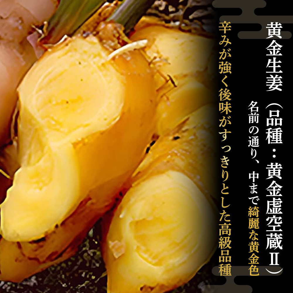 自慢の黄金生姜、味も辛さも最高です。ビックリするほど有機にこだわりました