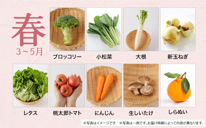 野菜 卵  果物 新鮮 セット 詰め合わせ 定期便 産地 直送