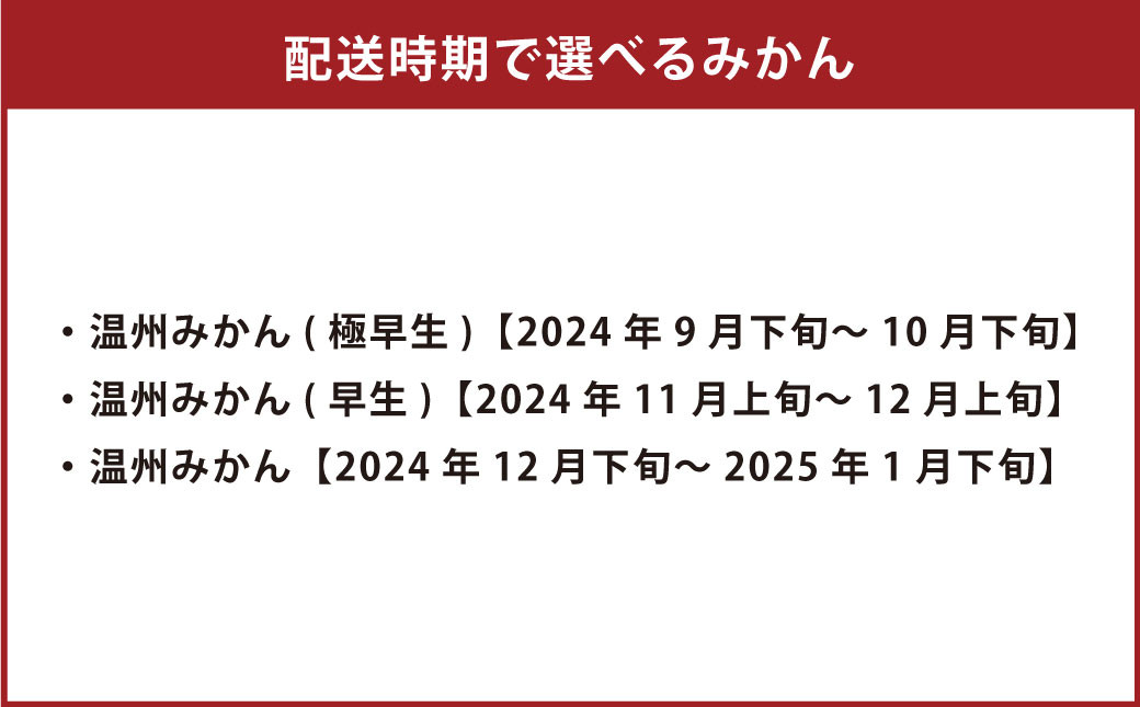 特別栽培みかん 10kg サイズミックス