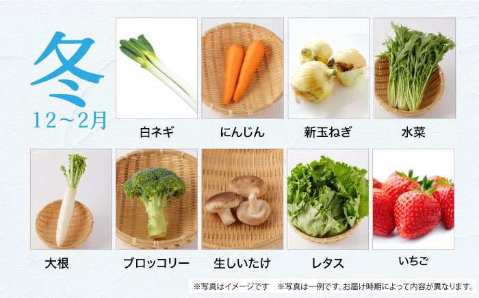 野菜 卵  果物 新鮮 セット 詰め合わせ 定期便 産地 直送