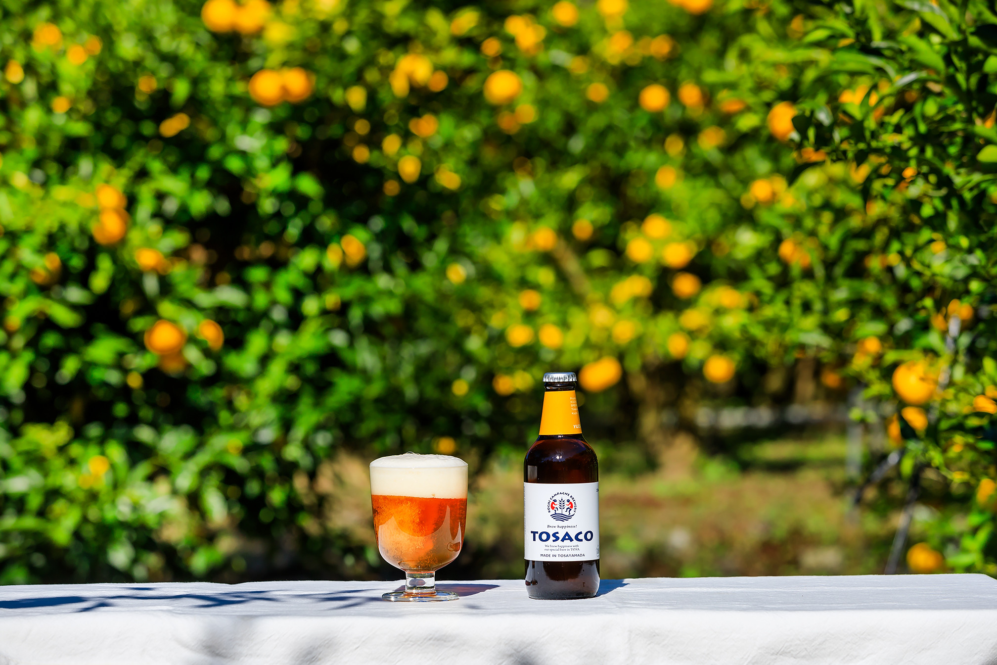 高知のクラフトビール「TOSACO」お米のビール6本セット