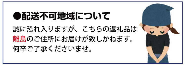 訳アリ わけあり 鰹 カツオ タタキ カツオのたたき 鰹のたたき 刺身 人気 高評価 冷凍 真空 小分け 海鮮 海 不揃い 魚