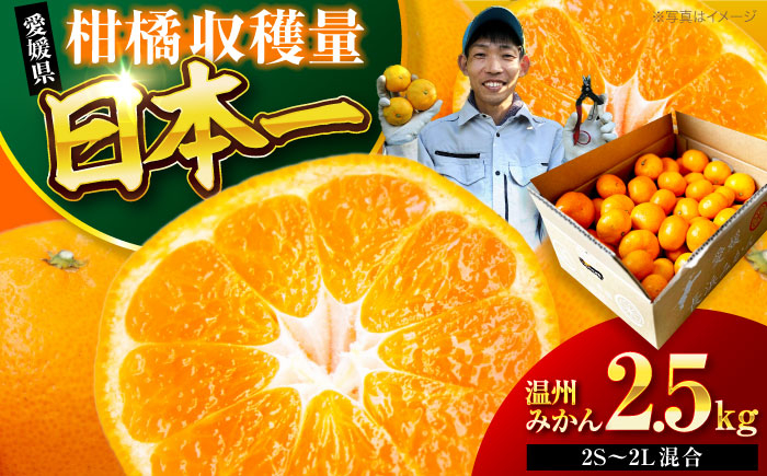 酸味さわやか愛媛じるし! 温州みかん 2.5kg （2Sから2L混合サイズ）