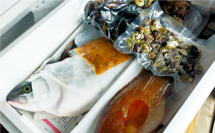 魚 海鮮 詰め合わせ セット 新鮮 冷凍 産地直送 島根 松江 おすすめ 人気