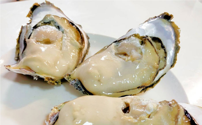 魚 海鮮 詰め合わせ セット 新鮮 冷凍 産地直送 島根 松江 おすすめ 人気