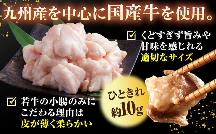 博多もつ鍋 おおやま もつ鍋 みそ味 3人前  もつ モツ おおやま 味噌 鍋 鍋セット