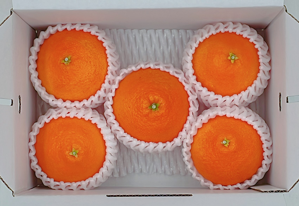 2Lサイズ5個入りの場合