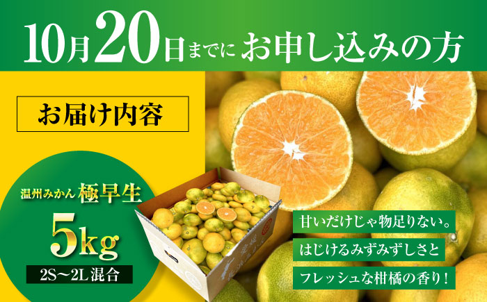 みかん mikann ミカン 温州みかん みかん 小玉 愛媛 みかんジュース みかん 10kg みかん 早生 スイーツ