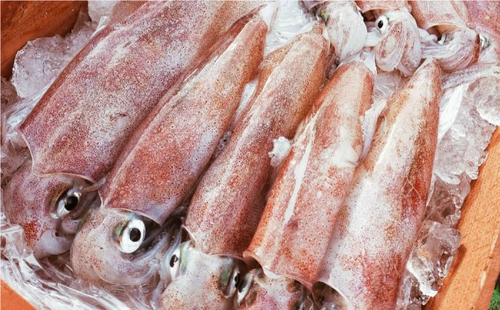 魚 海鮮 詰め合わせ セット 新鮮 冷凍 産地直送 島根 松江 おすすめ 人気