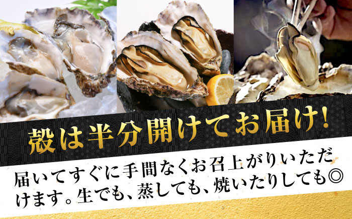 牡蠣 生食 むき身 殻付き かき カキ 生牡蠣 広島牡蠣 オイスター カキフライ 魚介類 貝類 海鮮 広島県産 国産 産地直送