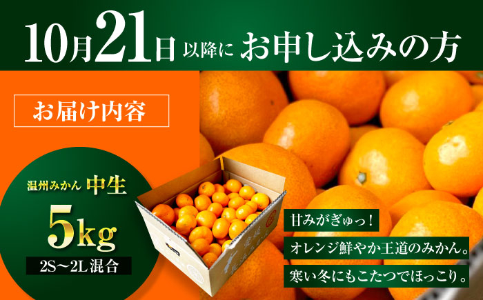 酸みかん mikann ミカン 温州みかん みかん 小玉 愛媛 みかんジュース みかん 10kg みかん 早生 スイーツ