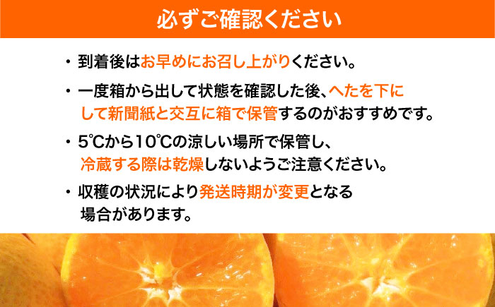 蜜柑 ふるーつ 柑橘 愛媛みかん 愛媛県産みかん 愛媛県 みかん ミカン 温州みかん みかん 小玉 愛媛 10kg