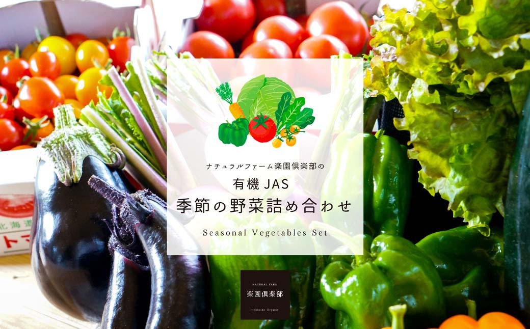 有機JAS認定 季節の野菜詰め合わせ~有機野菜セットB~