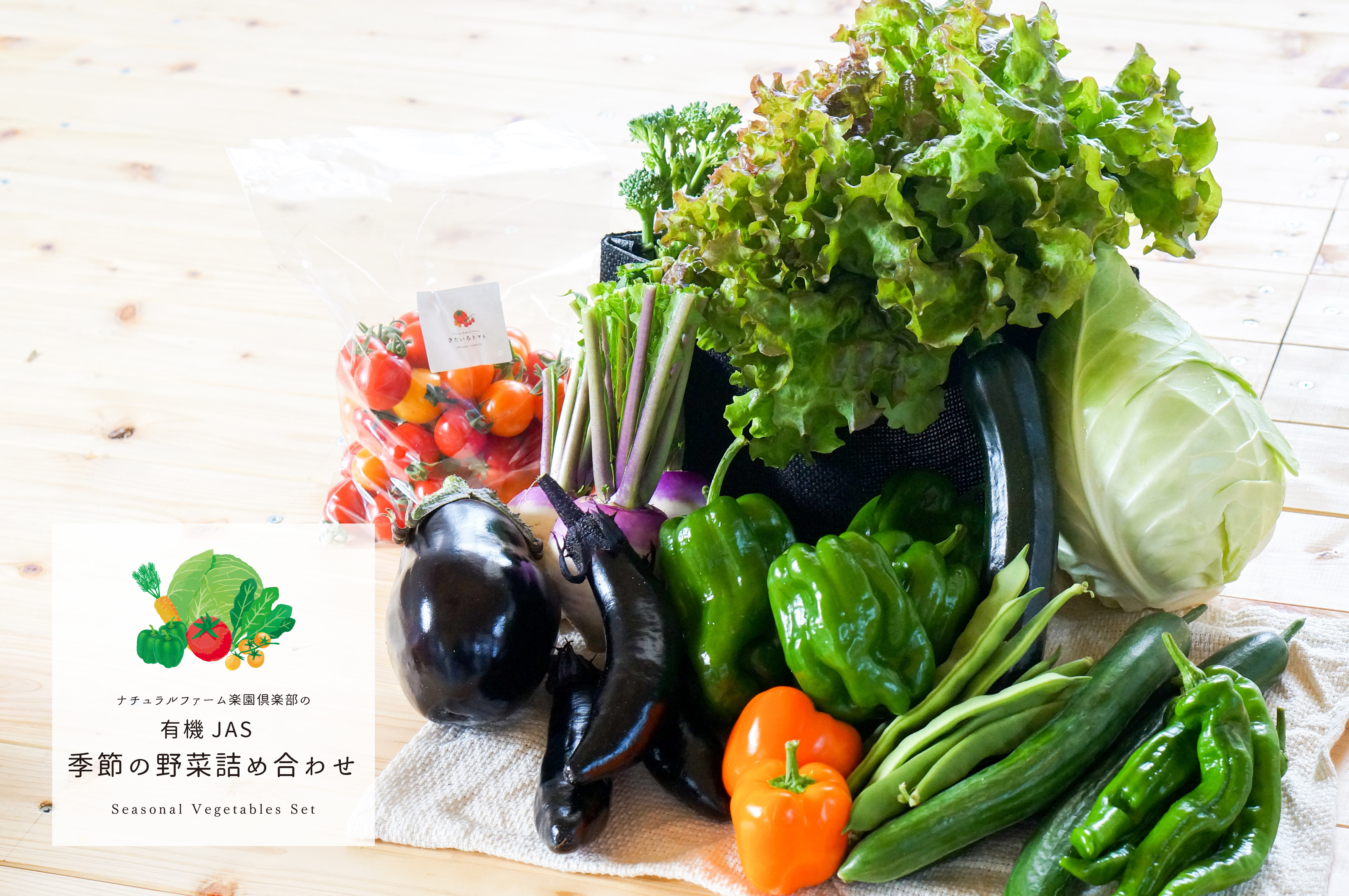 【5ヶ月隔月定期便】 季節の野菜詰め合わせ ~有機野菜セットA