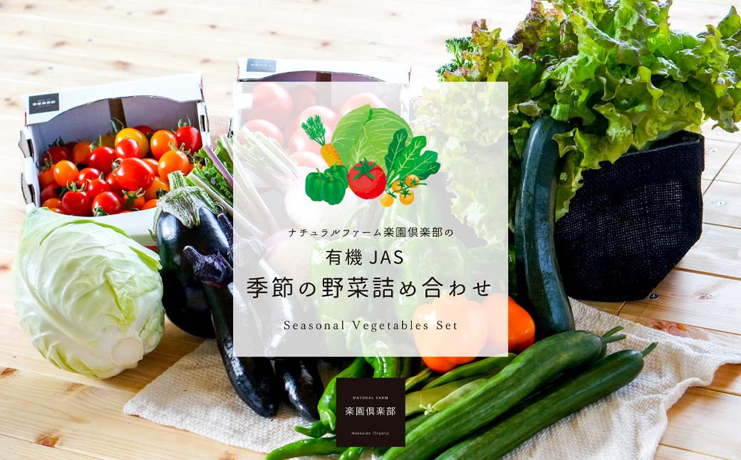 【有機JAS認定】【4ヶ月隔月定期便】 季節の野菜詰め合わせ ～有機野菜セットB