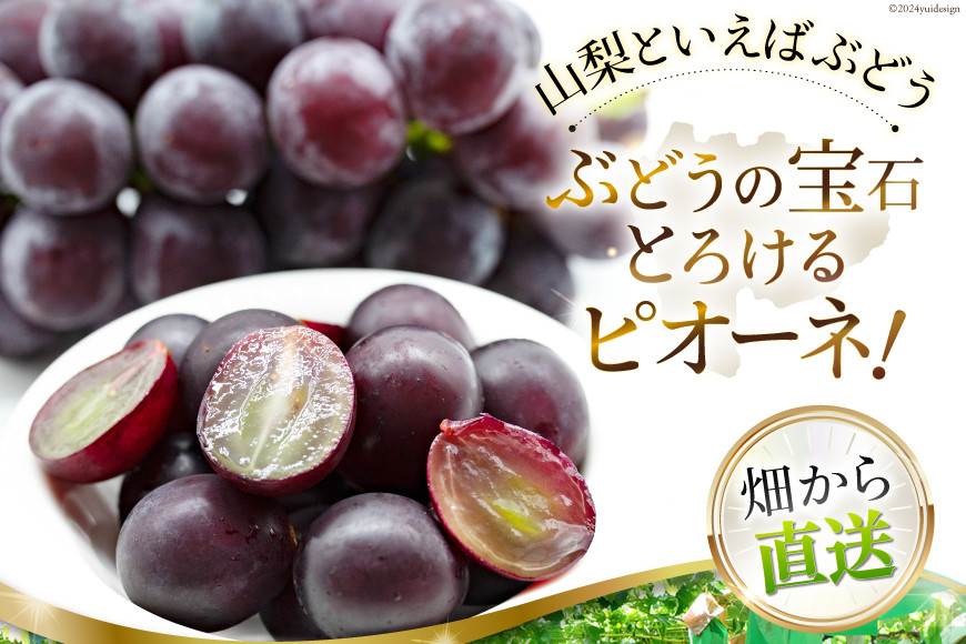 山梨県産 ピオーネ 約1.8kg