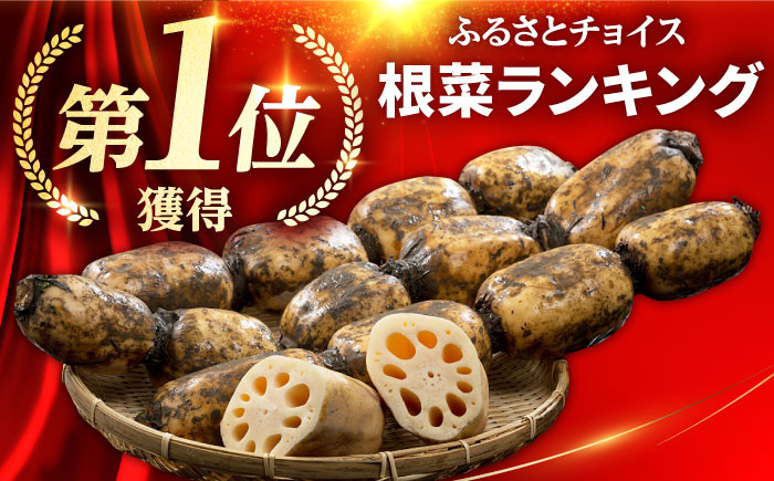 全国屈指の名産地 白石町から高品質れんこんをお届け!