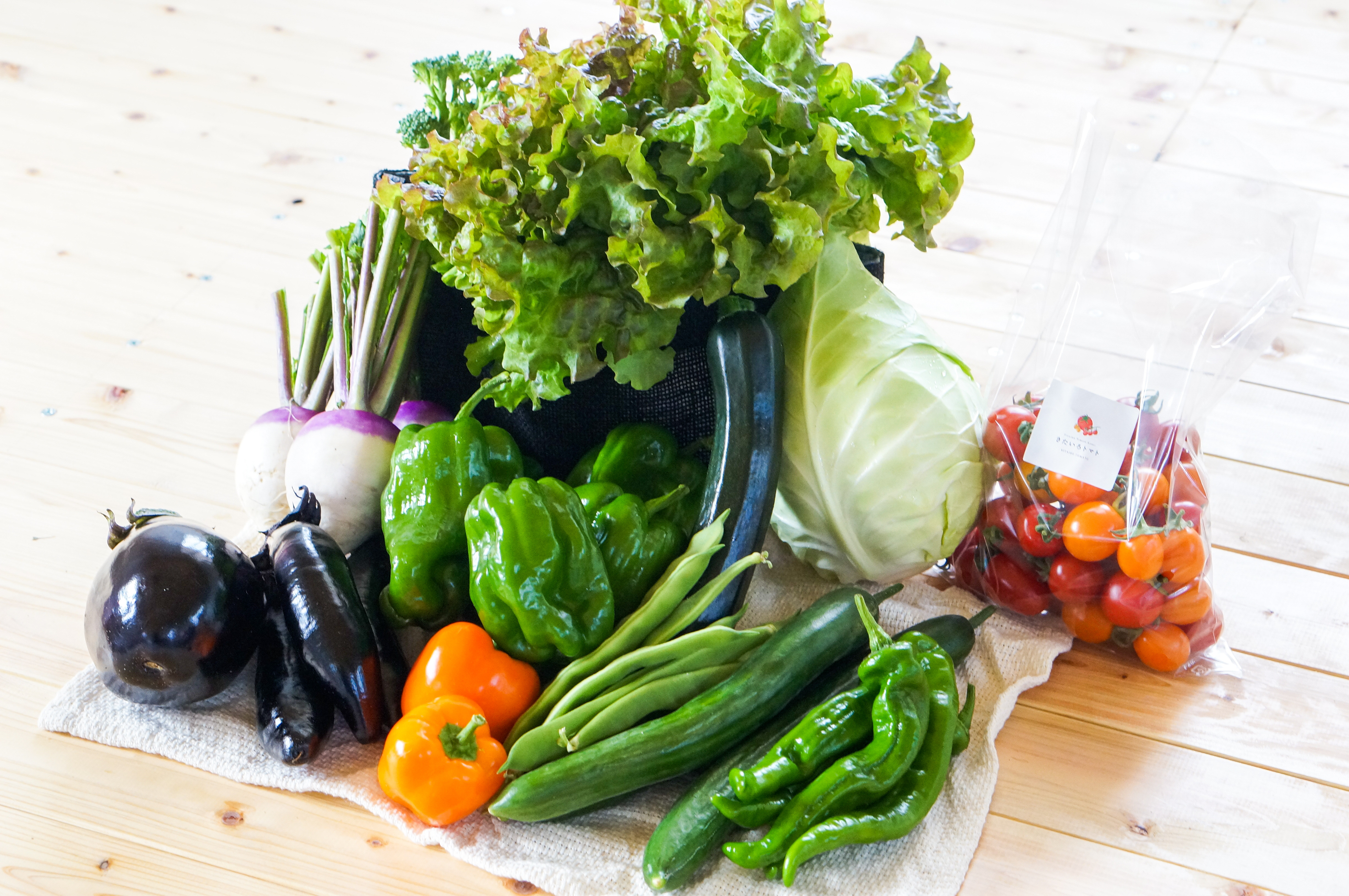 【6ヶ月隔月定期便】 季節の野菜詰め合わせ ~有機野菜セットA