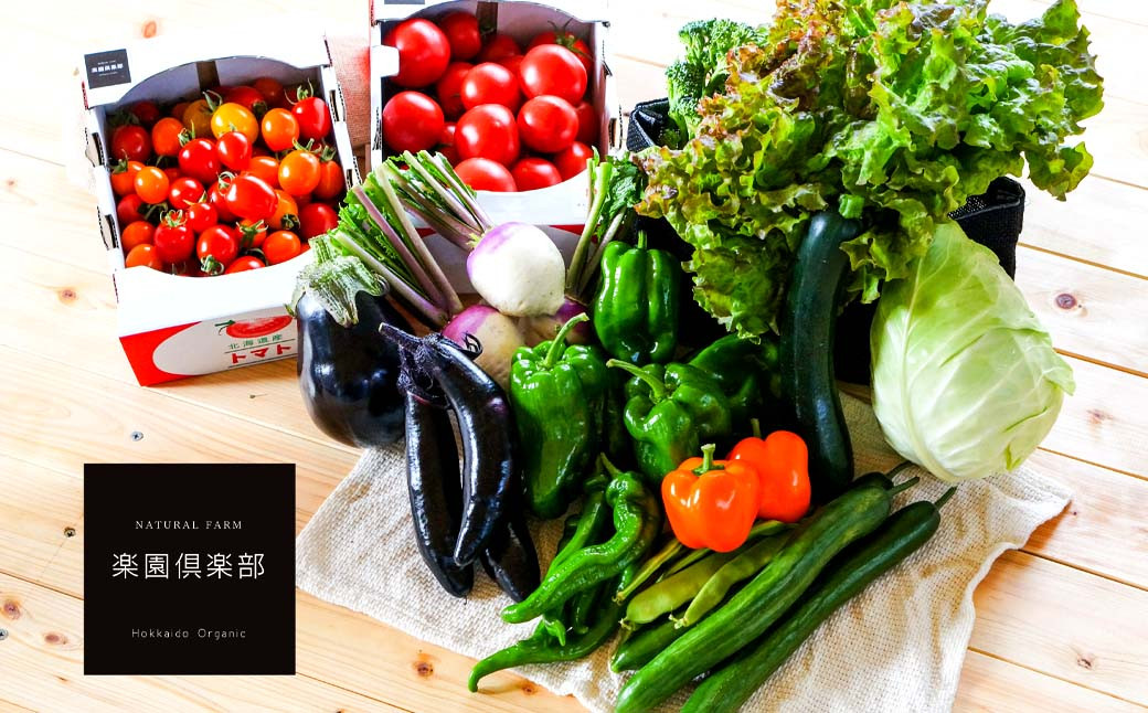 有機JAS認定 季節の野菜詰め合わせ~有機野菜セットB~