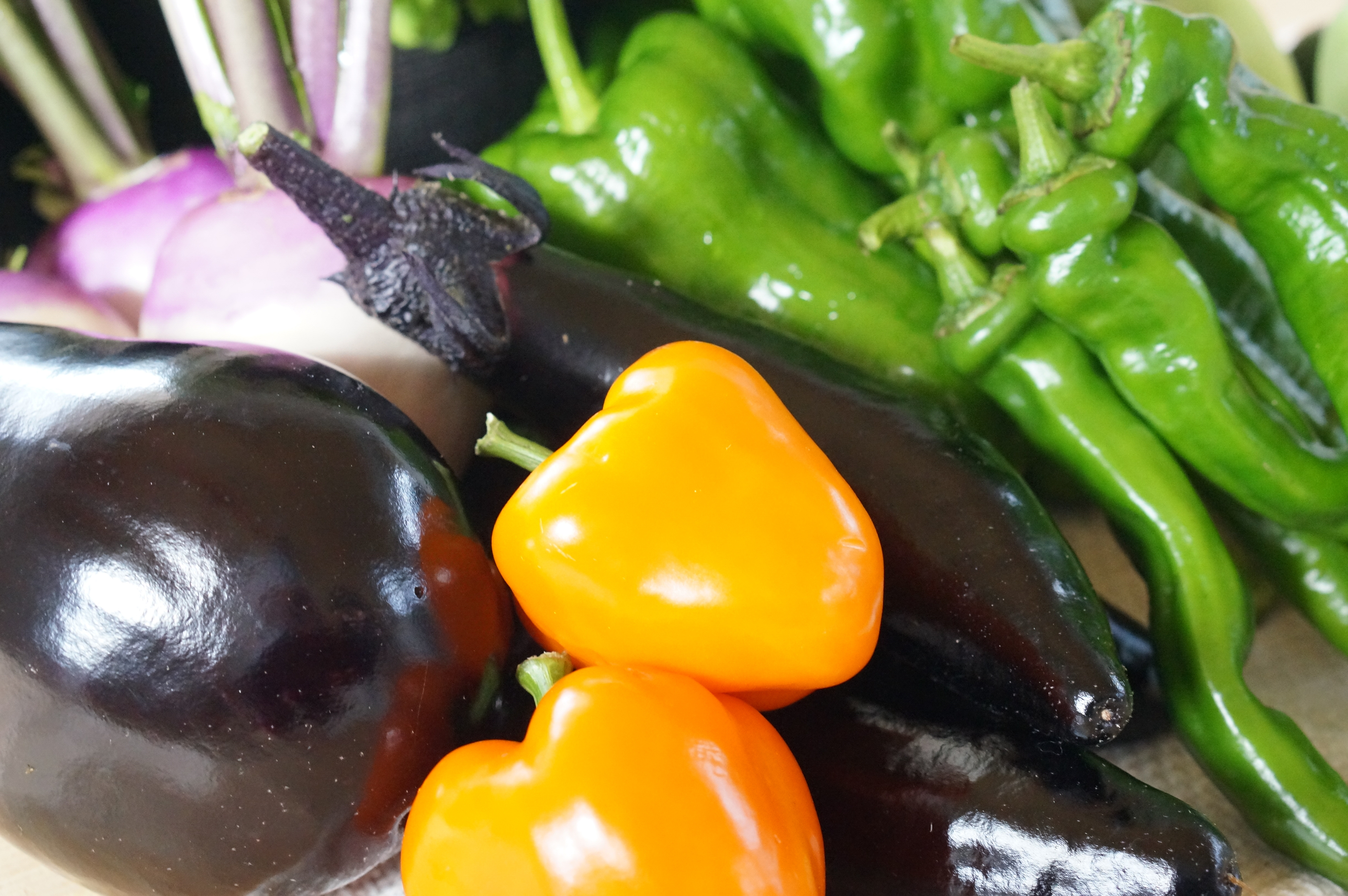 【5ヶ月隔月定期便】 季節の野菜詰め合わせ ~有機野菜セットA