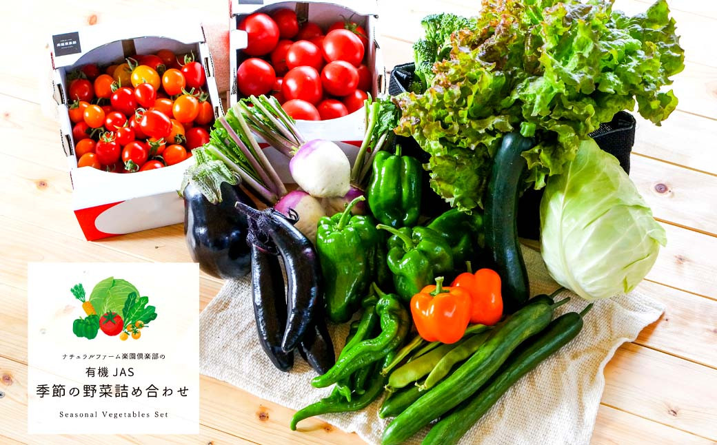 有機JAS認定 季節の野菜詰め合わせ~有機野菜セットB~