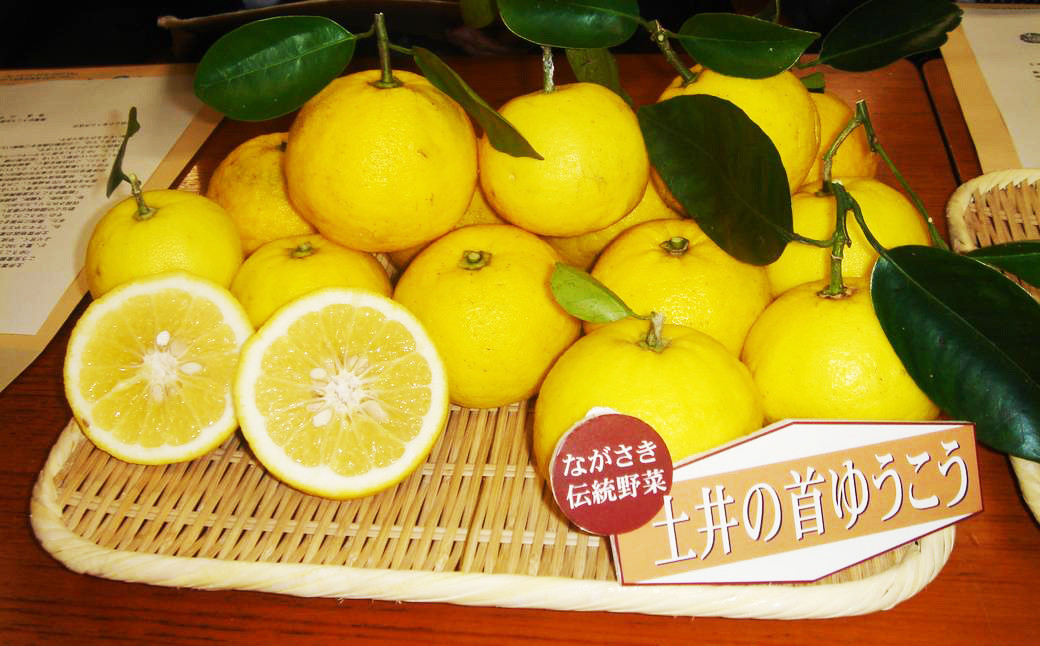 長崎薬味ゆうこう胡椒 (50g) 10ヶ / ごま ゴマ 柑橘類 薬味 調味料 長崎県 長崎市