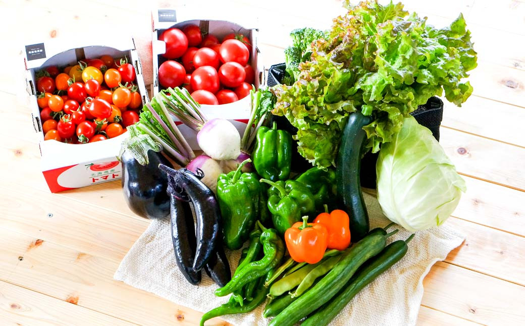 有機JAS認定 季節の野菜詰め合わせ~有機野菜セットB~