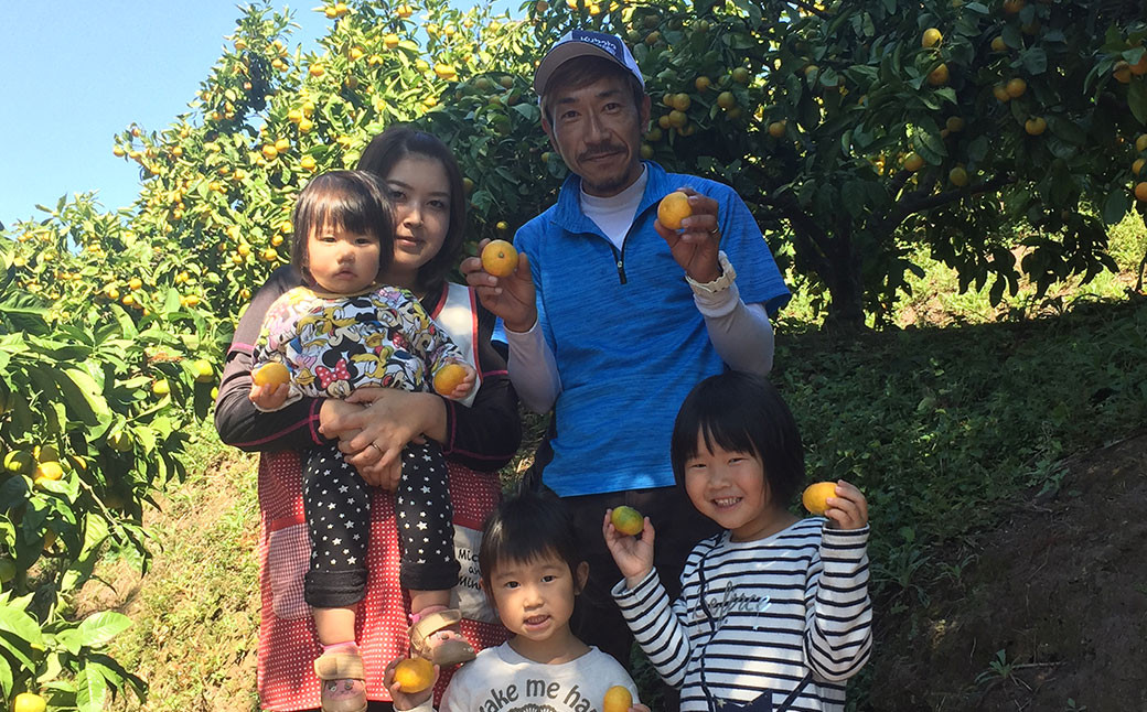 特別栽培 ポンカン 10kg サイズ ミックス 柑橘