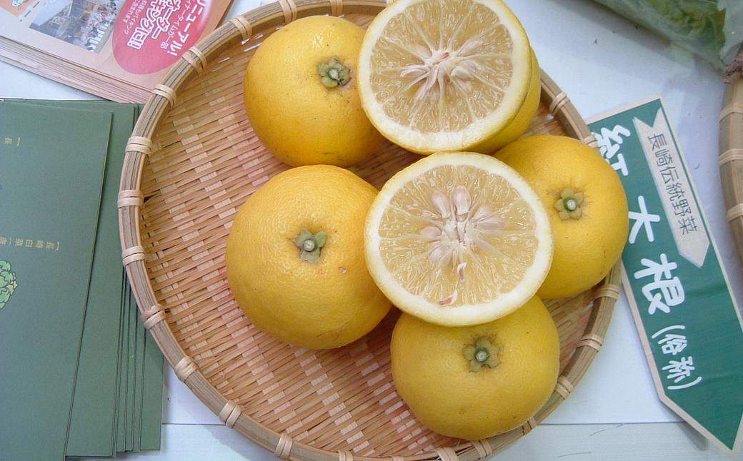 長崎薬味ゆうこう胡椒 (50g) 10ヶ / ごま ゴマ 柑橘類 薬味 調味料 長崎県 長崎市