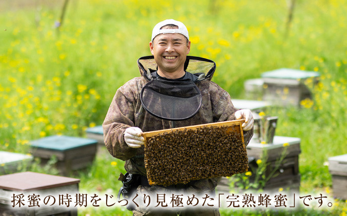 蜂蜜 はちみつ ハチミツ ハニー