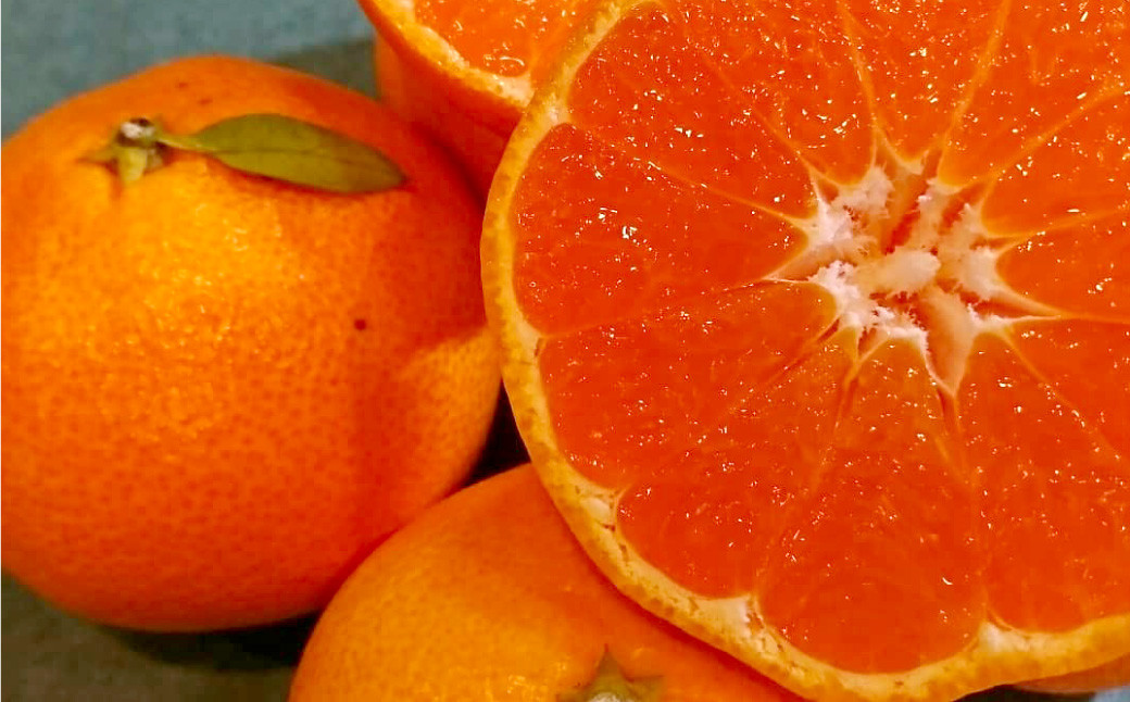 長崎県産 晩生温州みかん 3S～Sサイズ 5kg 小みかん