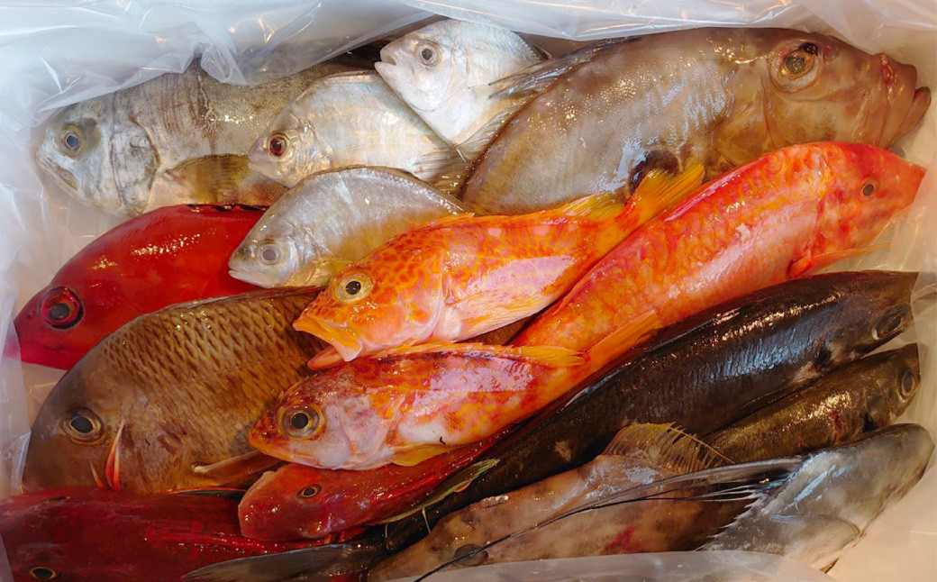 長崎漁港発!長崎近海産鮮魚お試しセット (ミニ)