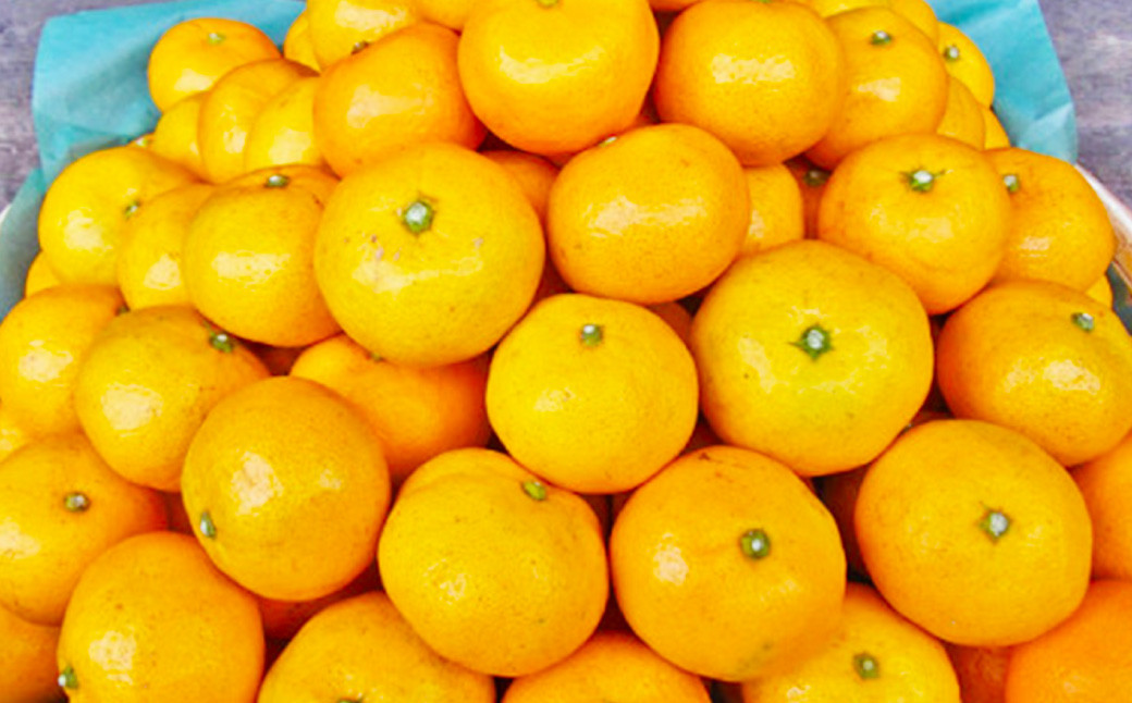 温州みかん「原口早生」3S~Sサイズ 5kg 小みかん