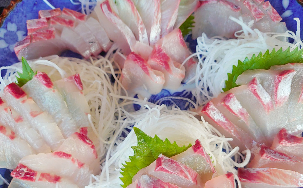 丸ごと1本!長崎近海 活き〆天然寒ヒラス (ヒラマサ) 5kg台 (5.2〜5.8kg)