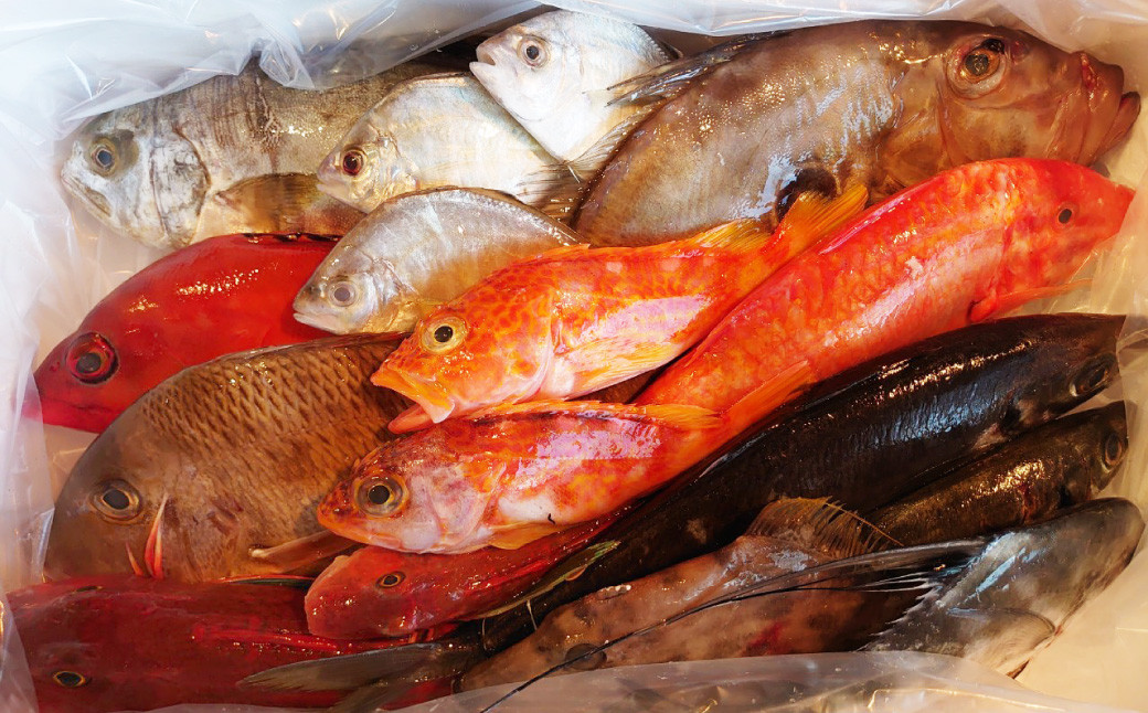 長崎漁港発!長崎近海産鮮魚セット (小)