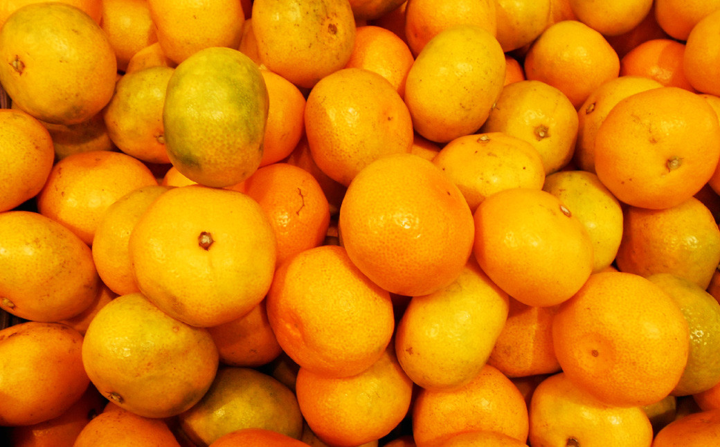 長崎県産 晩生温州みかん M～Lサイズ 5kg