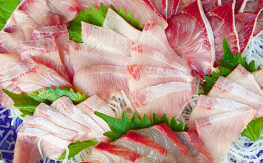 長崎近海 活き〆天然寒ぶり5kg台(5.2kg〜5.8kg)丸ごと1本!! / 魚 海産物 魚介 鮮魚 海鮮 ブリ ぶり 鰤