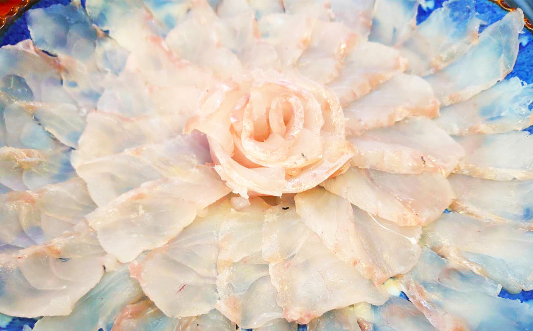 丸ごと1匹お届け!長崎近海 天然アラ (クエ) 2kg台 (2.2~2.8kg、4~5人前)