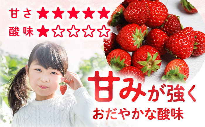 かおりの いちご 2kg