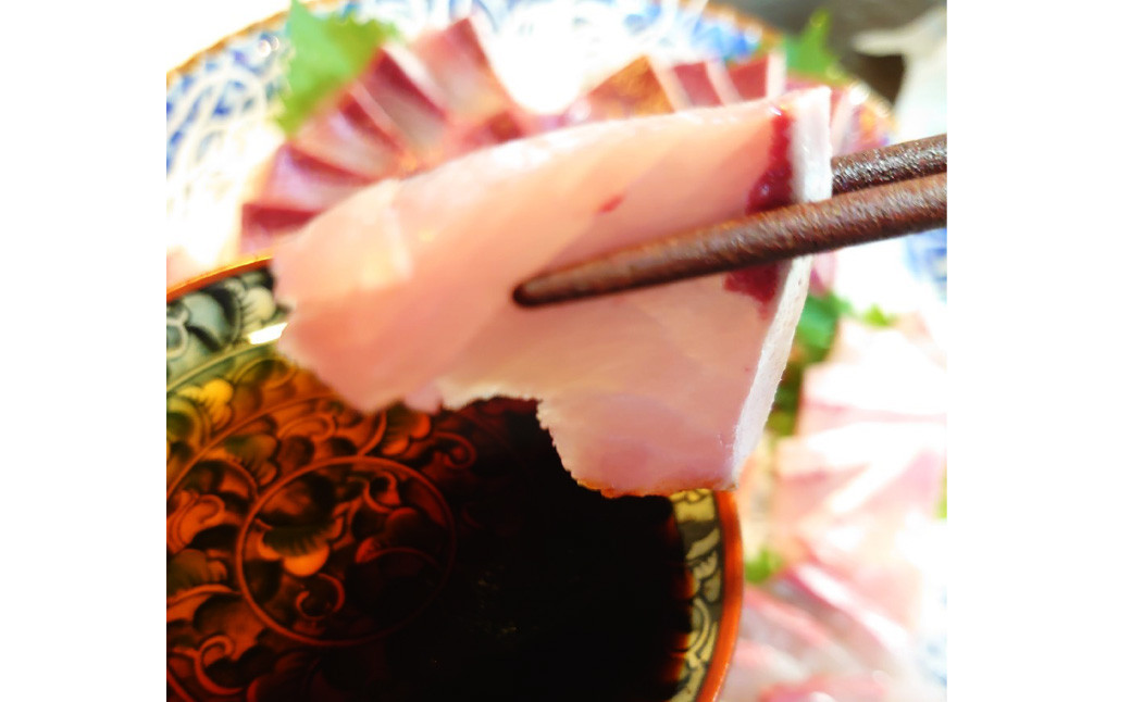 丸ごと1本!長崎近海 活き〆天然寒ヒラス (ヒラマサ) 5kg台 (5.2〜5.8kg)