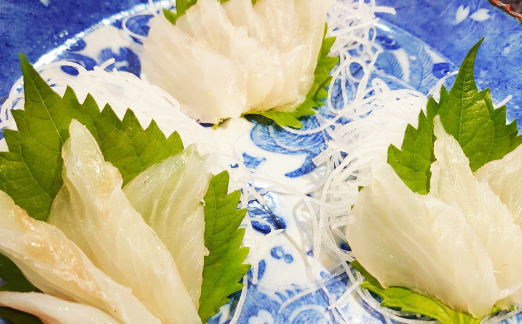 丸ごと1匹お届け!長崎近海 天然アラ (クエ) 8kg台 (8.2〜8.8kg、12〜15人前)