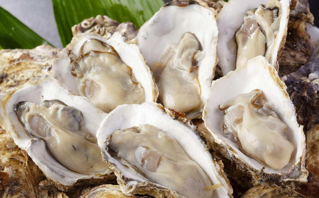 【無選別】加熱用 殻付き牡蠣 約1kg(8~20個) | 牡蠣 かき カキ 生ガキ 生牡蠣 加熱用 調理用