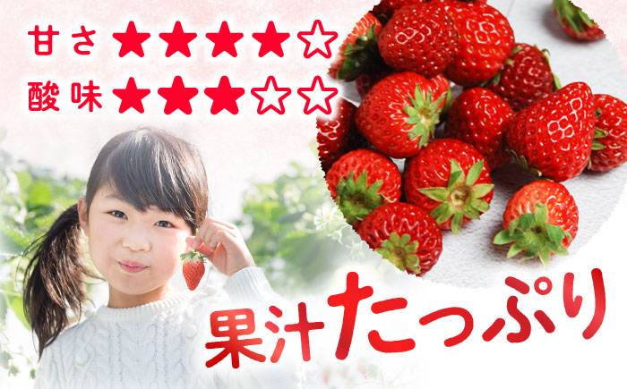 いちご 約2kg 苺 イチゴ