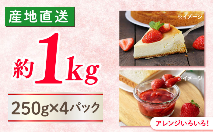 かおりの いちご 1kg