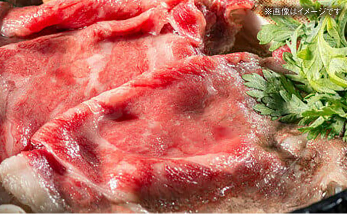 もも肉 長崎 ながさき 牛肉 牛 モモ スライス 長崎和牛 和牛 長崎県 冷凍